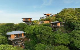 Suitree Experience Hotel